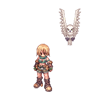 ranger_owl