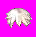img_hairstyle23.bmp