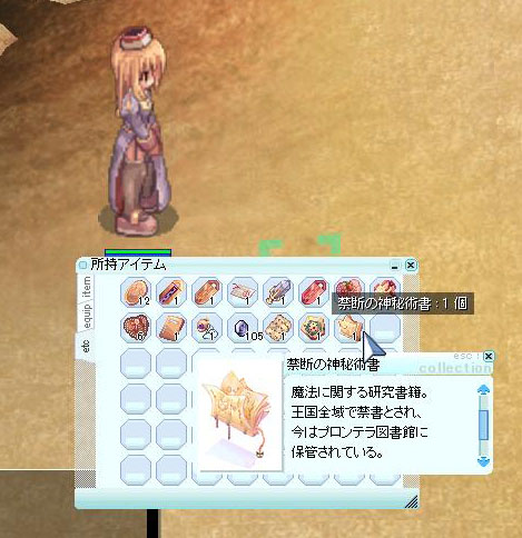 アイテム説明