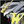 Tiamet PM Emblem