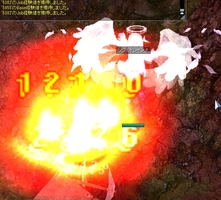 142に