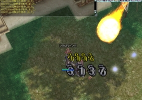 討伐クリア済み