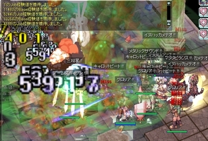 熊相手に