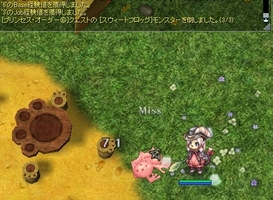 ぽかぽか