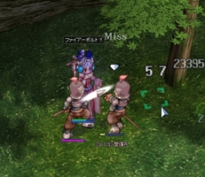 戦ってはみたものの