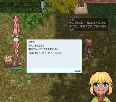 やってなかった