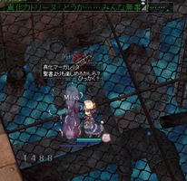 ひたすらひっかく