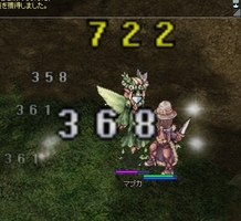 久しぶりのマブカ