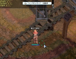 カードもゲット