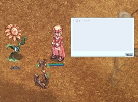 ここから