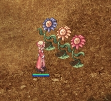 同じ色で