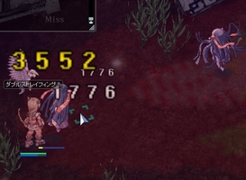 ソヒーを狙って