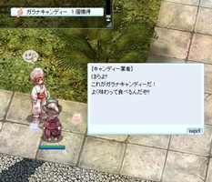 もらった