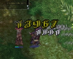 ぼぼぼ