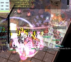 熊相手に