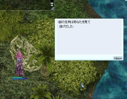 謎の生物