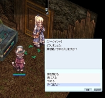 入れるの?