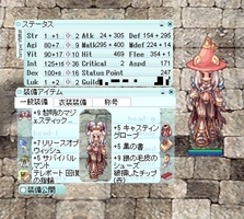 現時点でのステ装備