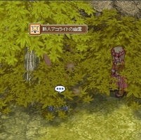 ここにポイントが