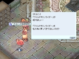 手に入ったのかな