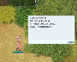 やたら細かい
