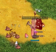 最後の1匹