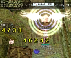 こちらでも1000体