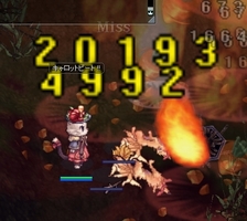 狐狩り