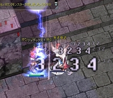 フクロウ相手に